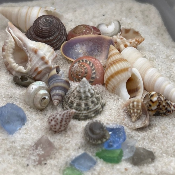 REAL BEACH SAND, SHELLS & SEA GLASS BITS CRAFTING CANDLES SOAP RESIN ART DIY LOT - Picture 3 of 17